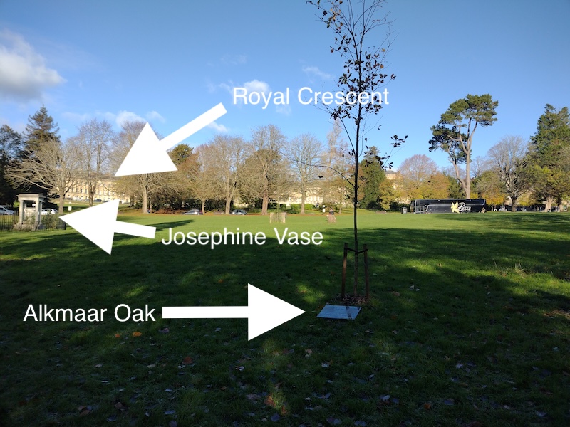 Location of Alkmaar Oak in Royal Victoria Park